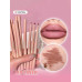 SHEGLAM DELINEADOR LABIAL CON CAJA X UNIDAD COD 6972U